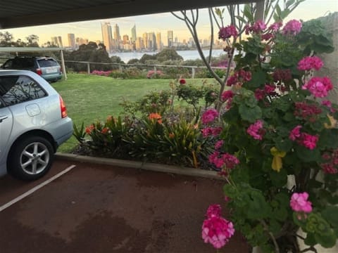 Landscaping & Maintenance - Easy To Run