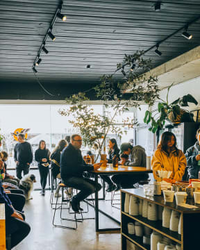 ​FOR SALE: MIGRANT COFFEE – A THRIVING CAFE IN WEST FOOTSCRAY