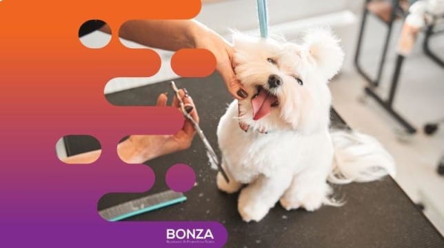 36113 Profitable Dog Daycare & Grooming Business - Limited Competition