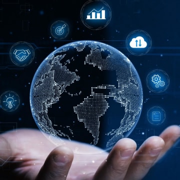 Equine-Focused Business Opportunity with Global Potential