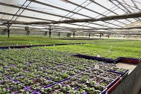 J5zzukjdbg3hzyivirzb