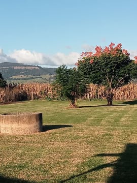 J7mmstoxsxjpfshwhwue