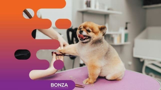 35061 Thriving Dog Grooming Business in Prime Location