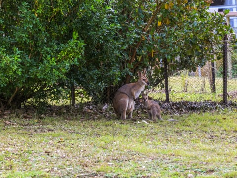 50-ROOM FREEHOLD RESORT WITH EVENT FACILITIES & SCOPE TO ELEVATE - 2878MF