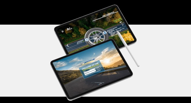 A well-established eLearning business with robust systems and scalable operations.