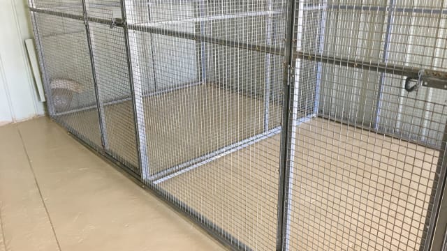Escape the City. Bring Your Income With You.
Established Boarding Kennel Business + Home + 45 Acres