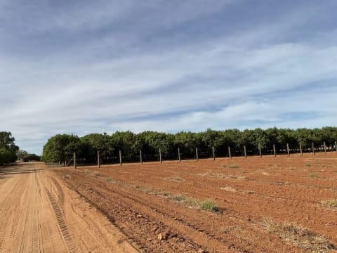 Horticulture Business & 58 Acre Asset | $1.5M+ Capability | Walk-In Walk-Out