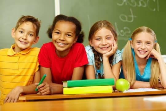 Unique, Import, Wholesale/Distribution and Online School Products Business #424