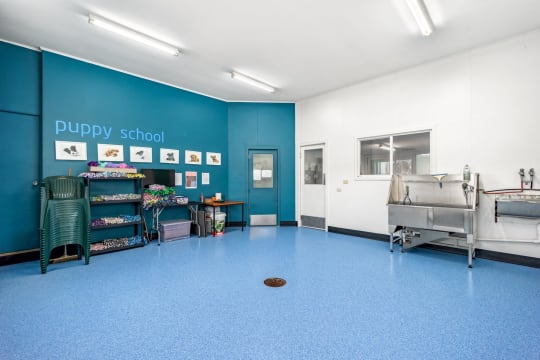 Longstanding Small Animal Veterinary Practice with Loyal Clientele & Modern Facilities