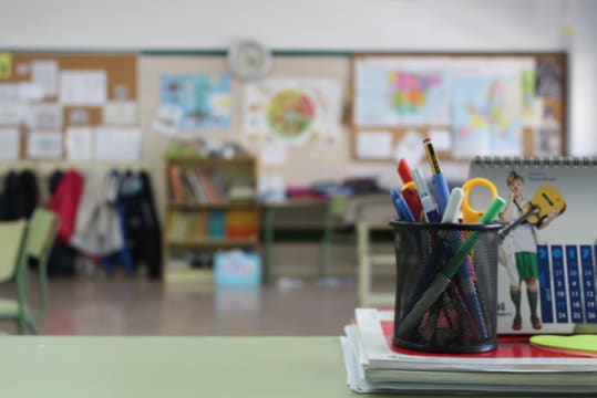 Unique, Import, Wholesale/Distribution and Online School Products Business #424
