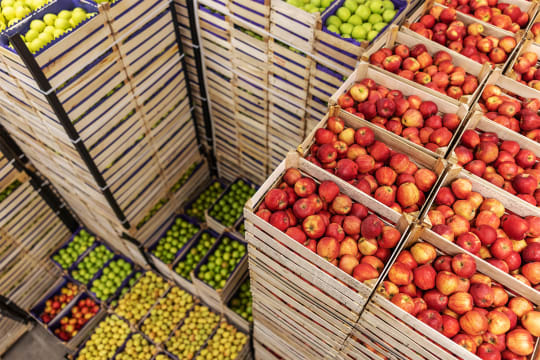Premium Fresh Produce Wholesale & Retail – Two Distinct Businesses for Sale