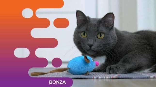 34184 Highly Renowned Pet Shop - 18+ Years