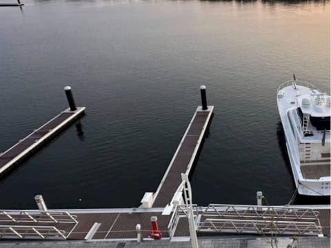26-Year Marine Platform, Exclusive APAC Rights
