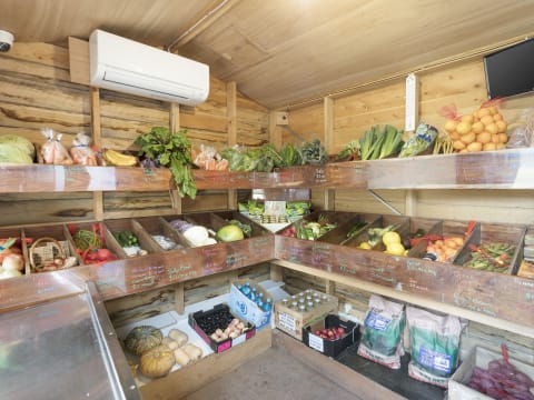 Jplxrfhnhshwhgb7abbc