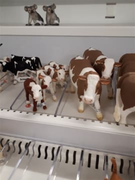 Destination Educational Toy Retailer | Orange NSW