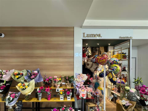 Established Florist with Loyal Customers in Busy Hobart CBD