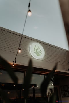 Kelp - San Remo.  Cocktail, Wine & Dining Bar  - Thriving business for Sale