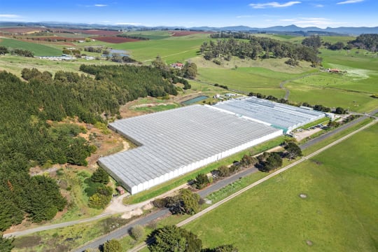 Hydroponic Vegetable Crop Farm - Land, Buildings & Machinery