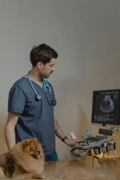 Agnes Coast Vet Clinic | Coastal Lifestyle + Profit