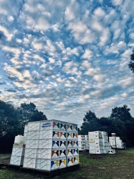 Asset-Based Small Scale Commercial Beekeeping Opportunity for Sale