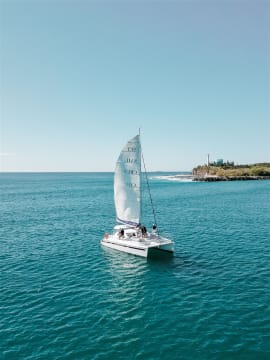 Multi-Brand Marine Tourism Business | Sunshine Coast | $1.995M WIWO