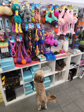 K8iny4gq6urip1tweezp