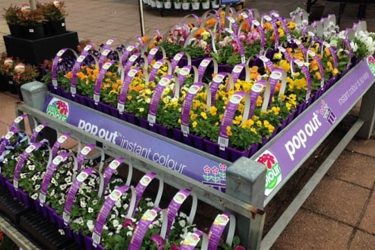 Kaq42kqnpq8ow7ujmgbc