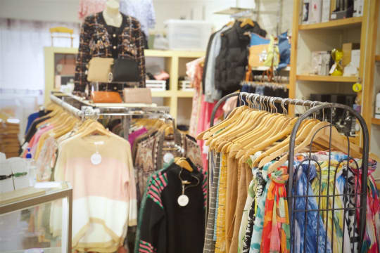 Established Retail Gift Shop and Women's Clothing Store