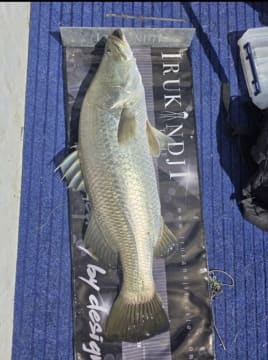 Nestled between Mission Beach and Innisfail your future awaits.