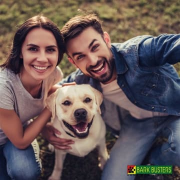 Bark Busters Dog Training Franchise