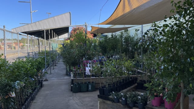 Donnybrook Hardware & Garden Centre