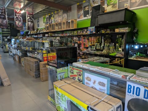 Reptile and Hydroponic Shop – First and Only in WA – Est. 2003 – East Rockingham, WA