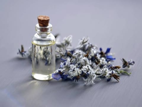 Manufacturing, Processing, Distribution Holdings.