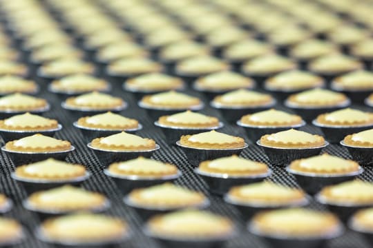 High-Capacity Contract Food Manufacturing Platform – South Coast Acquisition Opportunity