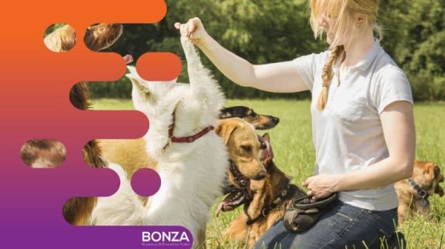 36875 Longstanding & Highly Reputable Dog Training Business - Proven Operation