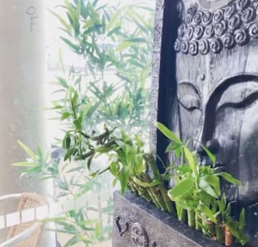 Kk7imr2rcfqbkqtorlim