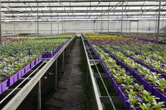 Klkqodgslznmcdh1slj1