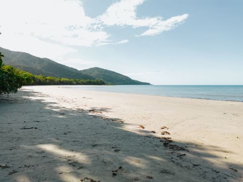 Daintree Rainforest Luxe Eco Lodge For Sale