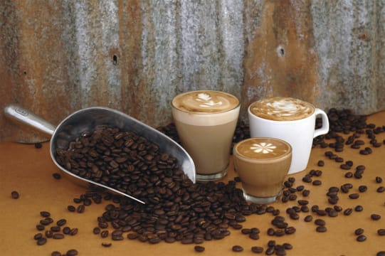 Coffee Works - Mareeba, Far North Queensland