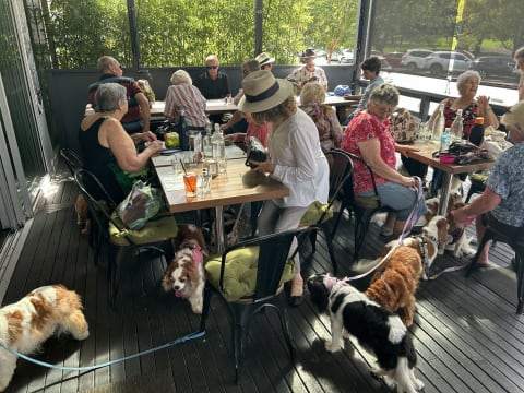 Busy Established Cafe For Sale