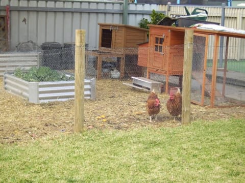 NOT JUST A BUSINESS BUT A CASUAL WAY OF LIFE! -  INCLUDES RESIDENCE & BUSINESS!