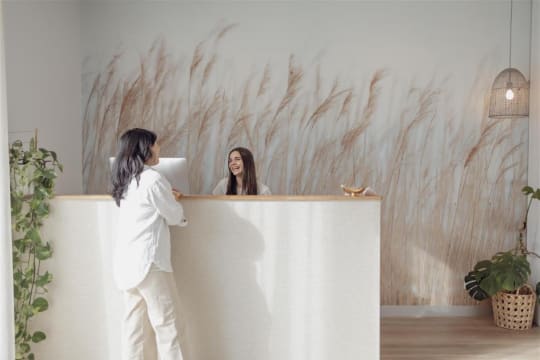 Established, Low-Risk Holistic & Allied Health Clinic
