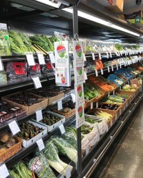 BLUE-CHIP ELWOOD VILLAGE LOCATION | $1.4M+ TURNOVER | HIGH-EXPOSURE DOUBLE FRONT