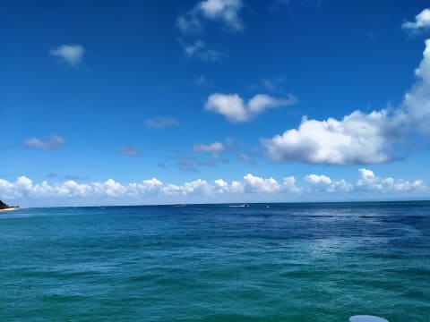 Kvynt0xvou8v6wuu52cj