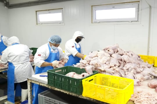 Fresh Meat Processing & Distribution Business