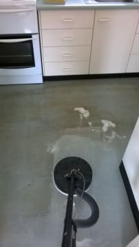 Established Carpet Cleaning Business with 37+ Year History | Loyal Client Base