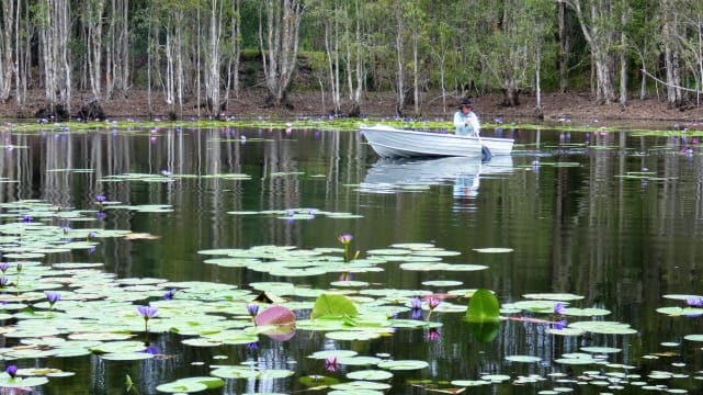 Kxgeqf1uwtx0vkhal8u9