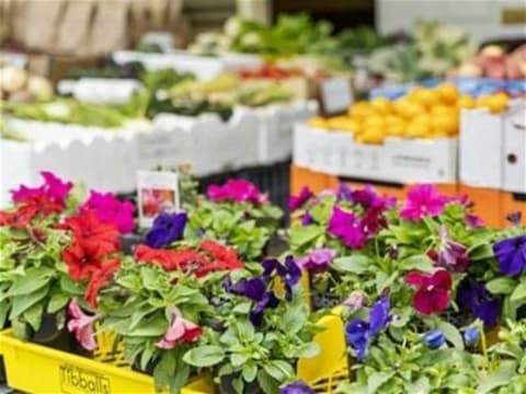 Ky7ae26w3xjqdzuaeeo9