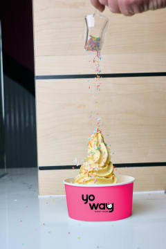 Invest in Yo Way: Premium Frozen Yogurt Franchise Opportunities
