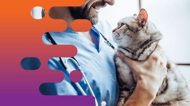 36686 Profitable Mobile Veterinary Business - Low Overheads